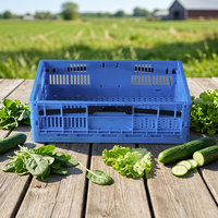 Caisse pliable ventilée en plastique pour l'affichage en supermarché, idéale pour le stockage et la distribution de légumes et fruits frais