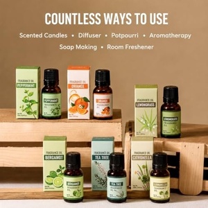 100% Pure Natural <b>Essential</b> <b>Oil</b> <b>Set</b> High Quality Top Grade Eco-Friendly 10ml Reed Diffuser <b>Oil</b> 11 Various Fragrances OEM/ODM - Product Image 3