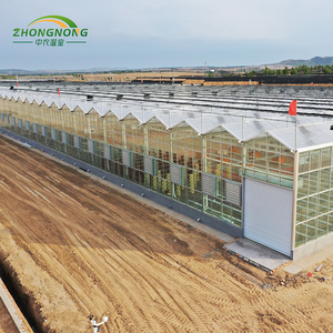 Grande <span class=keywords><strong>serre</strong></span> <span class=keywords><strong>en</strong></span> <span class=keywords><strong>verre</strong></span> multi-voûtes pour l'agriculture, les pépinières, les plantes, les tomates, les fraises, tunnel hydroponique <span class=keywords><strong>en</strong></span> PE pour la culture des légumes - Product Image 6