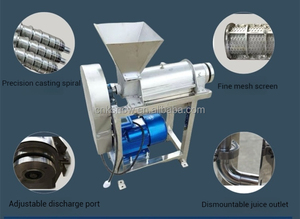 フルーツジンジャー商用ジューサーパイナップルニンジンジンジャーターメリックジューサー - Product Image 6