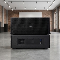 Système de sonorisation actif Line Array 2 voies de 10 pouces alimenté par DSP, en contreplaqué, pour spectacles en direct, bars, mariages et performances sur scène
