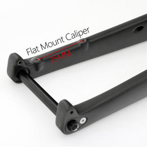 Fourche de vélo de gravier Cross Road T800 Matte Barrel Axle Open 100mm - Product Image 4