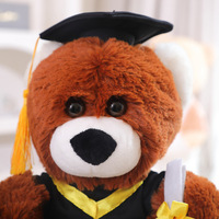 Peluche d'ours de dessin animé KapiBala pour la remise des diplômes avec chapeau de docteur brodé et peluche d'ours guinea pig de la fête des diplômés