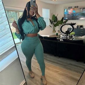 2026 2 Parça Takım Klasik Düz Renk Uzun Kollu İpli Fermuarlı Ceketler+Dar Paça Pantolon Kadın Temel Sportif Kıyafetler - Product Image 6