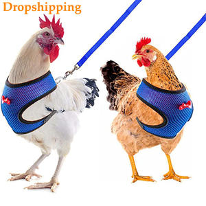 Tali rompi hewan peliharaan, tali ayam/bebek, nyaman, jaring, rompi hewan peliharaan ukuran kecil, anti keluar, Harness untuk kucing kecil dan anjing - Product Image 4