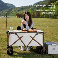 Chariot de plage WZ TC-74, chariot pliable en acier pour le camping en plein air, chariot portable avec table intégrée