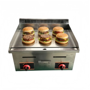 Gril Plancha Commercial en Acier Inoxydable et Fonte à Gaz GPL, Nettoyage Facile pour Restaurants, Chariots de Restauration, Équipement de Friture de Steaks - Product Image 5