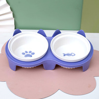 Nouveau Style vente en gros incliné chien chat fontaine d'eau personnalisé en céramique chien bol surélevé chat bols