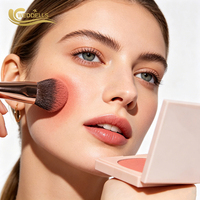 Poudre de blush matifiante à pigments modulables pour les détaillants de produits de beauté, fabricant de cosmétiques en marque blanche OEM, vente en gros