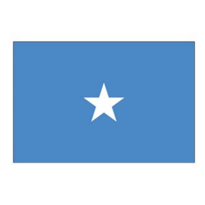 24h livraison rapide stock pas cher 100% polyester sérigraphie 3x5ft drapeau somalien grand drapeau de la somalie - Product Image 1