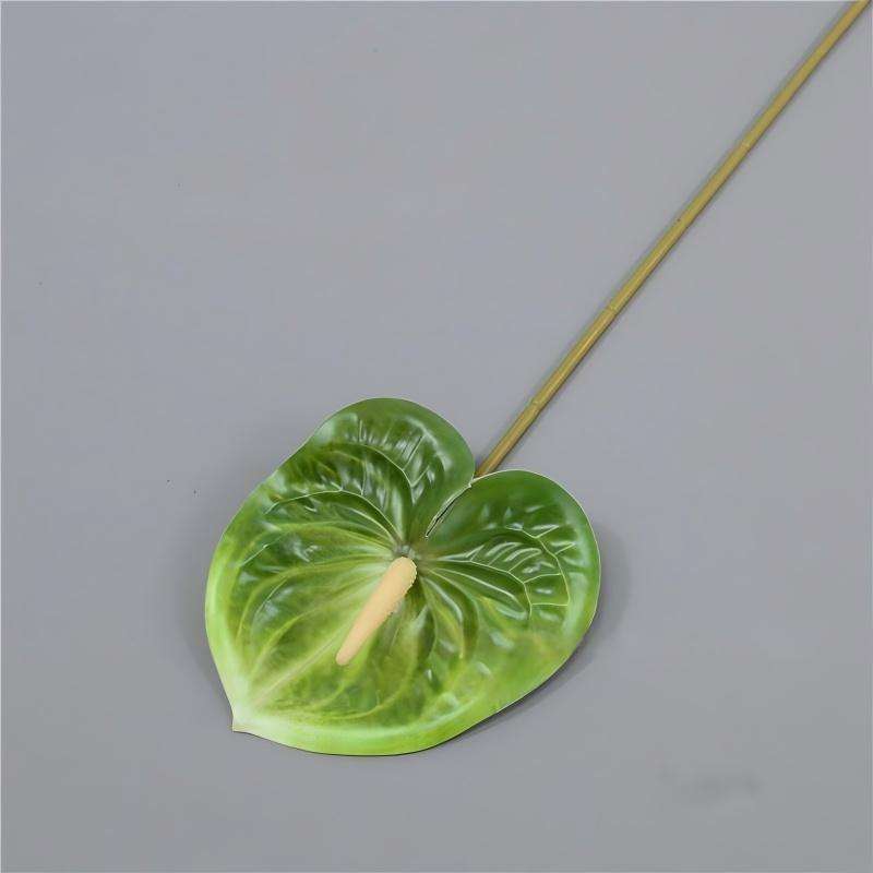 06 สีเขียว