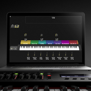 <span class=keywords><strong>Piano</strong></span> <span class=keywords><strong>digital</strong></span> y teclado sintetizador <span class=keywords><strong>Roland</strong></span> RD-2000EX con teclas contrapesadas - Product Image 4