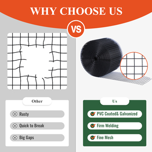 Durable Outdoor PVC Coated Welded <b>Wire</b> <b>Mesh</b> Roll Anti Bird Netting Protection - Product Image 3