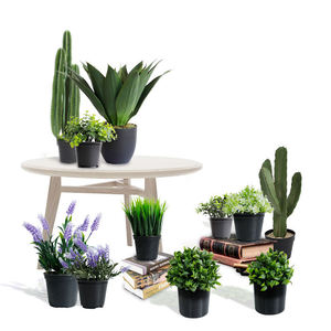 Bonsái de escritorio, simulación de plantas verdes para interiores, decoración de bonsái pequeña, accesorios para el hogar, plantas, regalo OEM /ODM, bonsái pequeño - Product Image 2