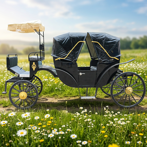 Calèche de haute qualité en acier, électrique ou à chevaux, pour mariages et visites touristiques, 1 à 6 places - Product Image 1