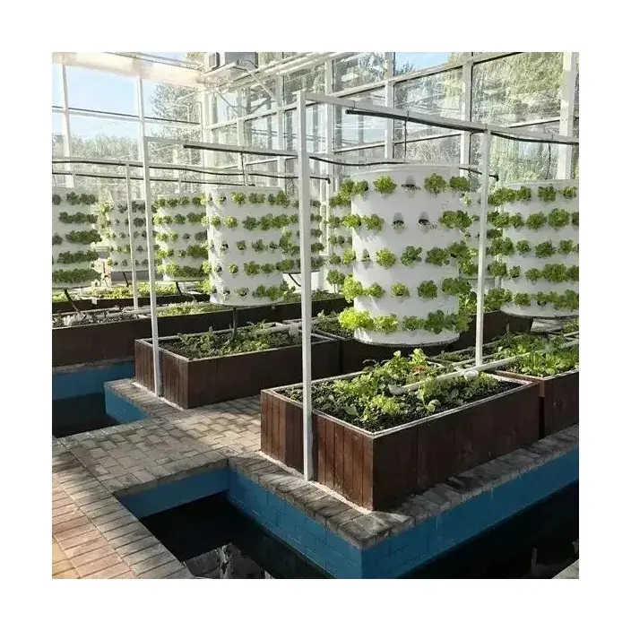 Smart Greenhouse Venlo Tempered Glass Greenhouse With Hydroponic Growing System For Sale