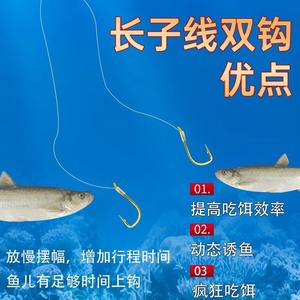 Ligne monofilament QZXSGHR Long Leader à double hameçon pour la pêche en lac et en réservoir avec un appâtage à haute efficacité - Product Image 1