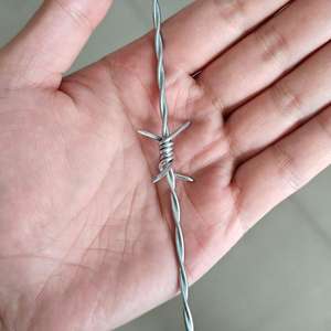 Kawat besi tergalvanis kekuatan tinggi kawat berduri untai ganda tahan benturan untuk perlindungan pagar pasure dan pertanian - Product Image 2