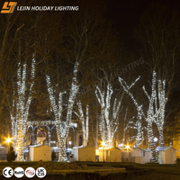 Guirlande lumineuse LED blanche de 10 m de haute qualité pour extérieur, fête, jardin, usage commercial, Noël, décorative, CE RoHS SAA UKCA, étanche