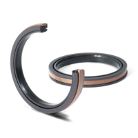 Joint d'étanchéité BIG SPANNER NBR+PTFE+PA en caoutchouc pour vérin hydraulique, joint de piston SPGW pour automobiles, joint d'étanchéité mécanique pour tige d'huile, joint torique