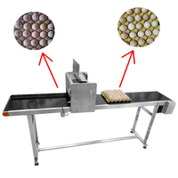 Volledig automatische eieren inkjet-stempelmachine logo HD-markering codering printmachines inkjetprinters voor kippeneieren