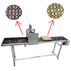 Máquina Impresora Automática de Inyección de Tinta para Huevos, Impresión de Logotipos, Marcado HD, Codificación, Impresoras de Inyección de Tinta para Huevos de Gallina - Product Image 1