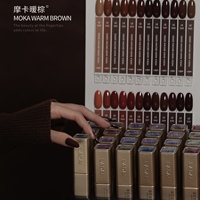ZRKGEL – Nouvelle collection automne-hiver : Kit de gels à ongles Ladai Mocha Brown, 24 teintes, haute pigmentation, pour salons de manucure et fournisseurs de produits pour ongles (gel UV)