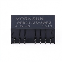 Module convertisseur DC-DC isolé WRB2412S-3WR2 SIP-8 3W avec entrée large 2:1 18V à 36V et sortie 12V 250mA pour contrôle industriel