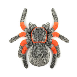Juguetes de Peluche de la Serie Insectos: <span class=keywords><strong>Araña</strong></span>, <span class=keywords><strong>Mantis</strong></span>, Abeja, Mariquita, Mariposa, Hormiga, Animales de Peluche Suaves, Muñecos de Peluche para Niños, Regalo, Decoración del Hogar - Product Image 1