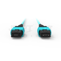 Kabel Trunk 24 Fiber OM3 MPO 2 x MPO-12 ke 2 x MPO-12 1m Kabel Patch Multimode untuk Pusat Data