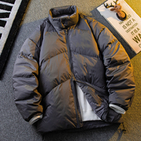 Nouvelle veste d'hiver en duvet de canard blanc pour homme, version coréenne, couleur unie, tendance décontractée, col montant, épaisse et chaude