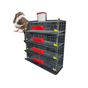 5 katmanlı bıldırcın kafesi keklik kuş kafesi - Product Image 2