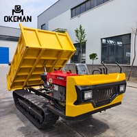 Mini-Baggerlader mit Dieselmotor Leistungsstarkes Hydrauliksystem 1 Jahr Garantie zum Verkauf
