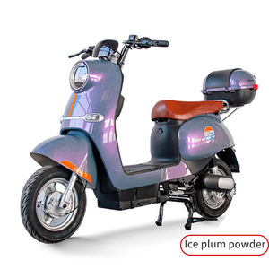 DomeRide M9 <span class=keywords><strong>Moto</strong></span> Électrique Haute Performance 800W pour le Commerce International, Vitesse 45km/h, Meilleure Vente - Product Image 6