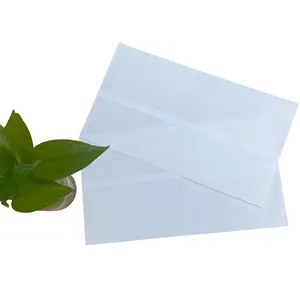 100% Recyclen Op Maat Gemaakte Platte Kledingverpakking Zakje Glassine Papieren Enveloppe Zakken