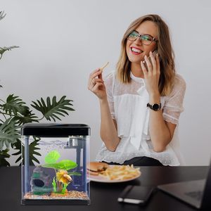 <span class=keywords><strong>Betta</strong></span> Glas Aquarium Zelfreinigend Glas 2 Gallon Kleine Nano Mini Aquarium Aquarium Aquarium - Product Image 6