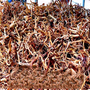 Branches de bois flotté naturel pour la décoration d'aquariums, avec des caractéristiques de racinement pour plantes aquatiques - Product Image 3