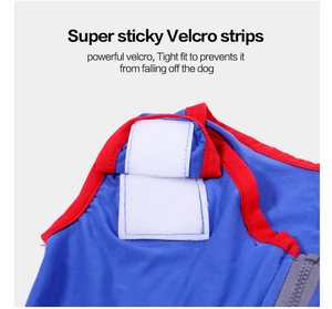 بيع بالجملة ملابس الحيوانات الأليفة بدلات الكلاب عالية الجودة ومرنة لينة تنفس الكلب دعوى الانتعاش الحيوانات الأليفة الكلب بذلة - Product Image 3