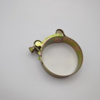 Zinc Plated Steel Double Bolt Pipe Clamp Flexible Spring 13-19mm Heavy Duty Hydraulic Hose Fastener Ss304 Ss316