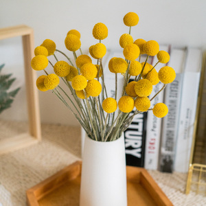 Zhuoou fiori secchi naturali conservati Billy Button essiccato Craspedia Flower Yunnan centrotavola di fiori secchi per Boho Home Decor - Product Image 1