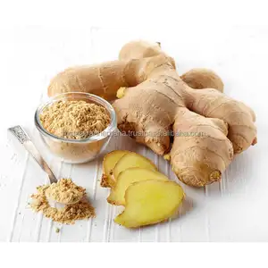 Gesundheits hilfe Halal Bio-freie Probe 5% Ginger ols Zingiber Officinale Ingwer wurzel extrakt Ingwer extrakt Pulver