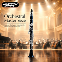 OEM Customizable Popular High Quality 17 Key Eb Clarinet Woodwind Musical Instrument Clarinet with Accessories