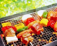 Grille de barbecue carrée en acier inoxydable galvanisé de haute qualité, outil de barbecue en métal, résistant à la corrosion et à la chaleur