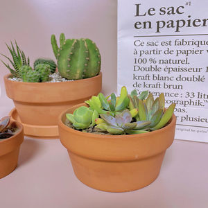 Commercio all'ingrosso ceramica Terracotta vasi di piante con foro di drenaggio succulenta <span class=keywords><strong>e</strong></span> <span class=keywords><strong>Cactus</strong></span> ceramica per il giardino di casa - Product Image 5