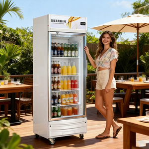 Réfrigérateur <span class=keywords><strong>commercial</strong></span> à porte vitrée silencieux pour boissons, vitrine réfrigérée pour supermarché, présentoir de boissons - Product Image 3