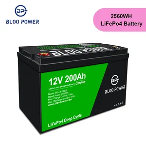 BLOOPOWER 12V 24V 200ah Lithium LiFePO4 Solar Energy Storage Battery System BMS For Rv Ev Golf Cart 5000 Cycle Times