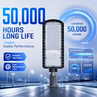 Hochleistungs-100W-LED-Straßenlampe für den Außenbereich, verstellbarer 50-mm-Stangenfuß für Hafen- und Industriehof-Beleuchtungslösungen