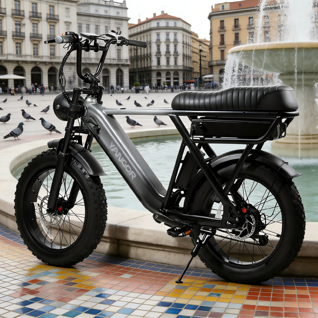 V20 20inch Electric Bike 48V 15Ah Steel Frame Fatbike 250W Lithium Battery LCD Rear Hub Motor 20 Inch 7 Speed V20 Pro