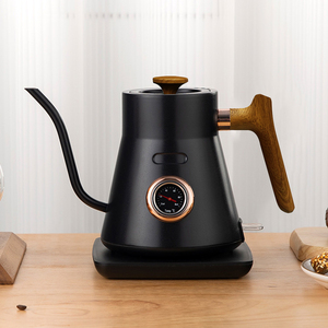 Bouilloire électrique en acier inoxydable avec thermomètre intégré et bec col de cygne pour le café et l'eau bouillante - Product Image 1