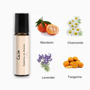 Huiles essentielles <span class=keywords><strong>à</strong></span> base de plantes pures personnalisées et mélangées Large <span class=keywords><strong>application</strong></span> avec différentes saveurs avec <span class=keywords><strong>arbre</strong></span> <span class=keywords><strong>à</strong></span> <span class=keywords><strong>thé</strong></span> - Product Image 2